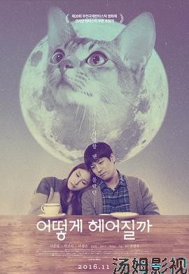 如何与我的猫分手