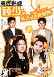 顾少，夫人又在拆家啦