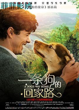 一条狗的回家路（原声版）